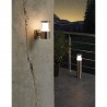 Lámpara de Pie para Exterior LED Eglo Basalgo 1 Níquel Mate Luz Cálida 4W 45cm