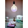 Bombilla Vintage LED Gigante Globo Eglo 3W Iridiscente