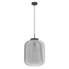 Lámpara Colgante Eglo Bulciago Negro Transparente Ø 35cm 1xE27