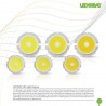 Downlight Leds 15w 3000k